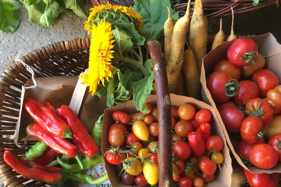 Obst Gemüse Hoflädchen Ochsenschläger